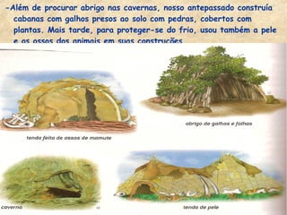 -Além de procurar abrigo nas cavernas, nosso antepassado construía
cabanas com galhos presos ao solo com pedras, cobertos com
plantas. Mais tarde, para proteger-se do frio, usou também a pele
e os ossos dos animais em suas construções.
 
