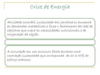 Crise de Energia

Atividade contrátil sustentada dos sarcômeros aumenta
as demandas metabólicas e força o fechamento da rede de
capilares que supre as necessidades nutricionais e de
oxigenação da região.



A circulação em um músculo falha durante uma
contração sustentada que corresponda de 30 a 50% do
esforço máximo.
 