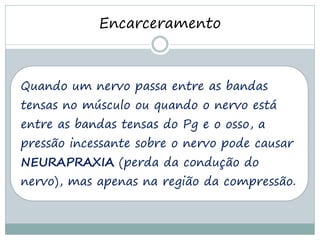 Encarceramento



Quando um nervo passa entre as bandas
tensas no músculo ou quando o nervo está
entre as bandas tensas do Pg e o osso, a
pressão incessante sobre o nervo pode causar
NEURAPRAXIA (perda da condução do
nervo), mas apenas na região da compressão.
 