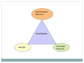 Aprendizagem
          Memória




          Acetilcolina




Atenção                  Contração
                         Muscular
 