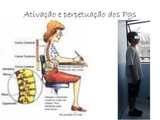 Ativação e perpetuação dos Pgs
 