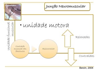 Junção Neuromuscular



                     • unidade motora
        muscular
Unidade funcional




                                                Relaxadas

                 Contração
                muscular dos   Assincronica
                 fascículos

                                                  Contraídas


                                                  Berzin, 2004
 