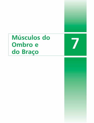 Músculos do
Ombro e
do Braço
 