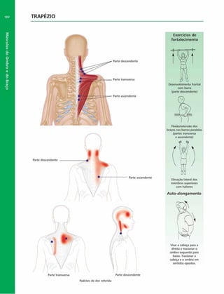 TRAPÉZIO
Parto descendente
Parte transversa Parte descendente
Padrões de dor referida
descendente
transversa
ascendente
Exercícios de
fortalecim ento
Desenvolvimento frontal
com barra
(parte descendente)
Flexão/extensão dos
braços nas barras paralelas
(partes transversa
e ascendente)
Elevação lateral dos
membros superiores
com halteres
Auto-alongam ento
Virar a cabeça para a
direita e tracionar o
ombro esquerdo para
baixo. Tracionar a
cabeça e o ombro em
sentidos opostos.
 
