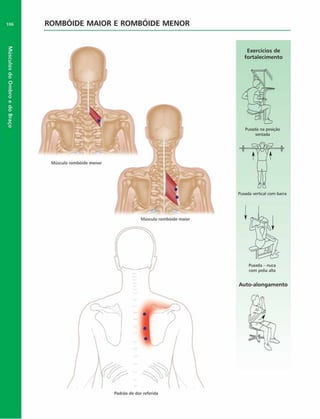 Músculos
do
Ombro
e
do
Braço
106 ROMBOIDE M AIOR E ROMBOIDE M ENOR
Exercícios de
fortalecim ento
Músculo rombóide maior
Puxada na posição
sentada
Puxada vertical com barra
Puxada - nuca
com polia alta
Auto-alongamento
 