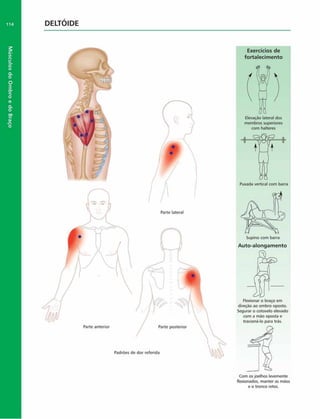 Músculos
do
Ombro
e
do
Braço
114 DELTÓIDE
Exercícios de
fortalecim ento
membros superiores
com halteres
Auto-alongam ento
direção ao ombro oposto.
Segurar o cotovelo elevado
com a mão oposta e
tracionálo para trás
Com os joelhos levemente
flexionados, manter as mãos
e o tronco retos
 