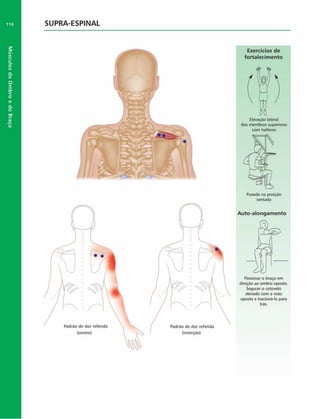 Músculos
do
Ombro
e
do
Braço
116 SUPRA-ESPINAL
Exercícios de
fortalecim ento
dos membros superiores
com halteres
Puxada na posição
sentada
Auto-alongam ento
Flexionar o braço em
direção ao ombro oposto.
Segurar o cotovelo
elevado com a mão
oposta e tracioná-lo para
trás.
 