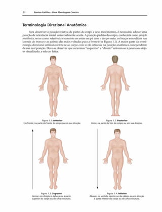 12 Pontos-Gatilho - Uma Abordagem Concisa
Terminologia Direcional Anatômica
Para descrever a posição relativa de partes do corpo e seus movimentos, é necessário adotar uma
posição de referência inicial universalmente aceita. A posição padrão do corpo, conhecida como posição
anatômica, serve como referência e consiste cm estar em pé com o corpo ereto, os braços estendidos nas
laterais do tronco e as palmas das mãos voltadas para a frente (ver Figura 1.1). A maior parte da termi­
nologia direcional utilizada refere-se ao corpo comoscele estivesse na posição anatômica, independente
de sua real posição. Deve-se observar que os termos "esquerdo" e "direito" referem-se ã pessoa ou obje­
to visualizado, e não ao leitor.
Figura 1.1: Anterior
Em frente; na parte da frente do corpo ou em sua direção.
Figura 1.2: Posterior
Atrás; na parte de trás do corpo ou em sua direçáo.
Figura 1.3: Superior
Acima; em direção à cabeça ou á parte
superior do corpo ou de uma estrutura.
Figura 1.4: Inferior
Abaixo; no sentido oposto ao da cabeça ou em direção
â parte inferior do corpo ou de uma estrutura.
 