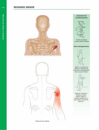 Músculos
do
Ombro
e
do
Braço
120 REDONDO MENOR
Exercício de
fortalecim ento
Puxada na posição
sentada (efeito limitado)
Auto-alongam ento
Segurar a maçaneta ou
apoiar-se no batente de
uma porta e delicadamente
dar um passo à frente.
Flexionar o braço em
direção ao ombro
oposto. Segurar o
cotovelo elevado com a
mão oposta e tracioná-lo
para trás.
 