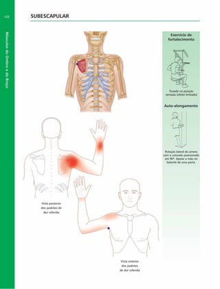 Músculos
do
Ombro
e
do
Braço
122 SUBESCAPULAR
Exercício de
fortalecim ento
Puxada na posição
sentada (efeito limitado)
Auto-alongam ento
Vista anterior
dos padrões
de dor referida
 