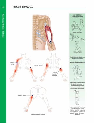 Músculos
do
Ombro
e
do
Braço
128 TRÍCEPS BRAQUIAL
Cabeça
longa
J
•f ;
W 
'/II
IIP
Cabeça mediai
%

v
V
V
-
JM .
T 
/
1
/
u.
tendinea
Padrões de dor referida
Exercícios de
fortalecim ento
Flexáo/extensáo dos braços
nas barras paralelas
Auto-alongam ento
Tracionar as mãos uma em
direção à outra. Isso se
torna mais eficaz com o
cotovelo elevado sendo
apoiado em uma parede.
H
J / l
•*
Manter a cabeça levantada
e o cotovelo para trás o
máximo possível, enquanto
for confortável, sem forçar
a parte lombar da coluna
vertebral.
 