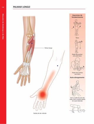 Músculos
do
Antebraço
e
da
M
ão
134 PALMAR LONGO
Exercícios de
fortalecim ento
Palmar longo
com polia baixa
Flexão dos punhos
com barra
Auto-alongam ento
Com o auxilio de uma das
mãos. levar o punho oposto
em suave extensão.
Padrão de dor referida
 