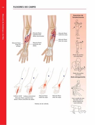 Músculos
do
Antebraço
e
da
M
ão
136 FLEXORES DO CARPO
Músculo flexor
longo do
polegar
Músculo flexor
superficial dos
dedos (seccionado)
Músculo flexor
profundo dos
dedos
Exercícios de
fortalecim ento
Músculo flexor
radial do carpo
Músculo flexor
ulnar do carpo
dedos e flexor profundo dos dedos
Padrões de dor referida
com polia baixa
Flexão dos punhos
com barra
Auto-alongam ento
Com o auxilio de uma
das mãos, levar o
punho oposto em
suave extensão.
 