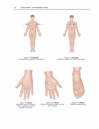 14 Pontos-Gatilho - Uma Abordagem Concisa
Figura 1.9: Superficial
Na superfície do corpo ou em sua direção.
Figura 1.10: Profundo
Distante da superfície do corpo; mais interno.
Figura 1.11: Dorsal
Referente à superfície posterior,
isto é. ao dorso; p.ex.: dorso
da mão. dorso do pé.
Figura 1.12: Palmar
Referente à superfície anterior da máo.
isto é. à palma.
Figura 1.13: Plantar
Referente à planta do pé.
 