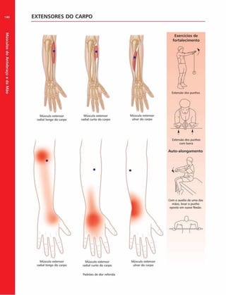 Músculos
do
Antebraço
e
da
M
ão
140 EXTENSORES DO CARPO
Músculo extensor
radial longo do carpo
Músculo extensor
radial curto do carpo
Músculo extensor
ulnar do carpo
Exercícios de
fortalecim ento
Extensáo dos punhos
Extensão dos punhos
com barra
Auto-alongam ento
Músculo extensor
radial longo do carpo
Músculo extensor Músculo extensor
radial curto do carpo ulnar do carpo
Com o auxilio de uma das
mãos, levar o punho
oposto em suave flexáo.
Padrões de dor referida
 