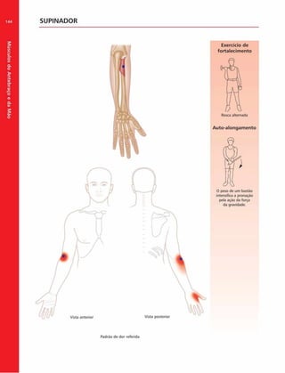 Músculos
do
Antebraço
e
da
M
ão
144 SUPINADOR
Exercício de
fortalecim ento
Auto-alongam ento
O peso de um bastào
intensifica a pronação
peía ação da força
da gravidade.
Vista posterior
Padrão de dor referida
 
