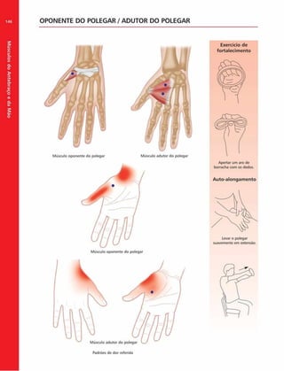 Músculos
do
Antebraço
e
da
M
ão
146 OPONENTE DO POLEGAR / ADUTOR DO POLEGAR
Músculo oponente do polegar
Exercício de
fortalecim ento
Músculo adutor do polegar
Padrões de dor referida
Apertar um aro de
borracha com os dedos.
Auto-alongam ento
Levar o polegar
suavemente em extensão.
 