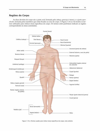 0 Corpo em M ovim ento 15
Regiões do Corpo
As duas divisões do corpo são a parte axinl, formada pela cabeça, pescoço e tronco, e a parte apen-
dictilar, formada pelos membros que estão fixados ao eixo do corpo. A Figura 1.14 (a e b) mostra os ter­
mos utilizados para indicar áreas específicas do corpo. Os termos entre parênteses indicam as regiões
correspondentes às áreas assinaladas.
Frontal (testa)
Fibular (parte lateral da perna)
Crural (perna)
Hálux
Axilar (axila)
Torácica (tórax)
Braquial (braço)
Umbilical (umbigo)
Antebraquial (antebraço)
Pélvica (pelve)
Quadril
Púbica (regiáo genital)
Femoral (coxa)
Patelar (região anterior
do joelho)
Podálica (pé)
Nasal (nariz)
Bucal (bochecha)
Mentual (queixo)
----------------- Acromial (ponta do ombro)
----------------- Esternal (esterno, osso do peito)
----------------- Mamária (peito)
Antecubital (região anterior
do cotovelo)
Abdominal (abdome)
Carpal (punho)
Polegar
Palmar (palma)
Digital (dedos)
Inguinal (virilha)
Cefálica (cabeça)
Tarsal (tornozelo)
Orbital (olho)
Oral
Cervical
Digital
Figura 1.14 a: Termos usados para indicar áreas específicas do corpo; vista anterior.
 