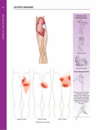 Músculos
da
Coxa
e
do
Quadril
152 GLÚTEO M Á X IM O
Superior médio
Exercícios de
fortalecim ento
Inferior mediai
Padrões de dor referida
Inferior médio
Agachamentos
Leg press sentado
Auto-alongam ento
No solo, tracione o joelho
na direção do ombro
oposto. (Evite realizar este
exercício após a gestação
em função da sobrecarga
imposta è pelve durante a
gravidez e o trabalho
de parto.)
 
