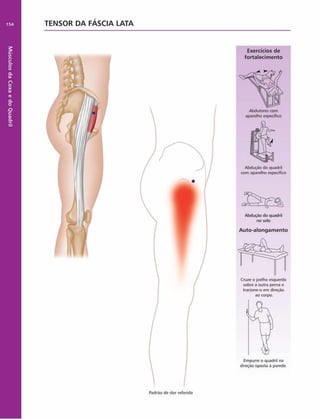 Músculos
da
Coxa
e
do
Quadril
TENSOR DA FÁSCIA LATA
Exercícios de
fortalecim ento
Abdutores com
aparelho especifico
Abdução do quadril
com aparelho específico
Abdução do quadril
no solo
Auto-alongam ento
Cruze o joelho esquerdo
sobre a outra perna e
tracione-o em direção
ao corpo.
Empurre o quadril na
direção oposta à parede.
Padrão de dor referida
 