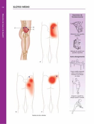Músculos
da
Coxa
e
do
Quadril
156 GLÚTEO M ÉDIO
Exercícios de
fortalecim ento
Abdução do quadril com
aparelho especifico
Auto-alongam ento
Cruze o joelho esquerdo
sobre a outra perna e
tracione-o em direção
ao corpo.
Empurre o quadril na
direção oposta ã parede.
Padrões de dor referida
Abdulores com aparelho
específico
 