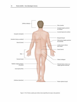 16 Pontos-Gatilho - Uma Abordagem Concisa
Cefálica (cabeça) —
Escapular (escápula)
Vertebral (coluna vertebral)
Dorsal (costas)
Mào
Femoral (coxa)
Poplitea (região posterior
do joelho)
Sural (panturrilha)
Calcânea (calcanhar)
Ótica (orelha)
Occipital (região posterior
da cabeça)
Acromial (ponta do ombro)
Braquial (braço)
Olecraniana (região posterior
do cotovelo)
Lombar (parte inferior
das costas)
Sacral (sacro)
Glútea (nádegas)
Perineal (entre o ánus e os
órgáos genitais externos)
Plantar (planta do pé)
Figura 1.14 b: Termos usados para indicar áreas especificas do corpo; vista posterior.
 