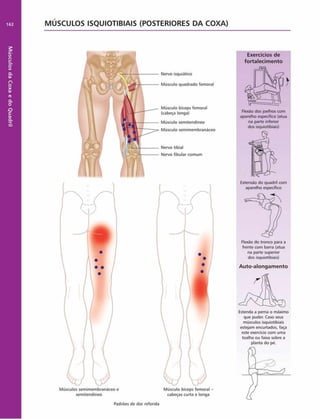 Músculos
da
Coxa
e
do
Quadril
162 MÚSCULOS ISQUIOTIBIAIS (POSTERIORES DA COXA)
Exercícios de
fortalecim ento
Nervo isquiático
Músculo quadrado femoral
Músculo biceps femoral
(cabeça longa)
Músculo semitendíneo
Músculo semimembranáceo
Nervo tibial
Nervo fibular comum
Músculos semimembranáceo e
semitendíneo
)
Flexão dos joelhos com
aparelho especifico (atua
na parte inferior
dos isquiotibiais)
Flexão do tronco para a
frente com barra (atua
na parte superior
dos isquiotibiais)
Auto-alongam ento
Estenda a perna o máximo
que puder. Caso seus
músculos isquiotibiais
estejam encurtados, faça
este exercício com uma
toalha ou faixa sobre a
planta do pé.
cabeças curta e longa
Padrões de dor referida
Extensão do quadril com
aparelho especifico
 