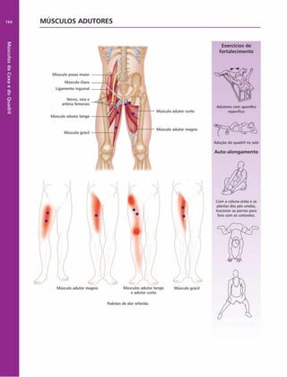 Músculos
da
Coxa
e
do
Quadril
164 MÚSCULOS ADUTORES
Músculo psoas maior
Músculo iliaco
Ligamento inguinal
Nervo, veia e
artéria femorais
Músculo adutor longo
Músculo grácil
Exercícios de
fortalecim ento
Adutores com aparelho
Músculo adutor curto específico
Músculo adutor magno
Adirçáo do quadril no solo
Auto-alongam ento
Com a coluna ereta o as
plantas dos pés unidas,
tracionar as pernas para
fora com os cotovelos.
Músculo adutor magno Músculos adutor longo
e adutor curto
Músculo grácil
Padrões de dor referida
 