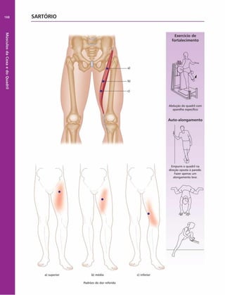 Músculos
da
Coxa
e
do
Quadril
168 SARTÓRIO
Exercício de
fortalecim ento
Abduçáo do quadril com
aparelho especifico
Auto-alongam ento
direçáo oposta è parede.
Fazer apenas um
alongamento leve.
Padrões de dor referida
 