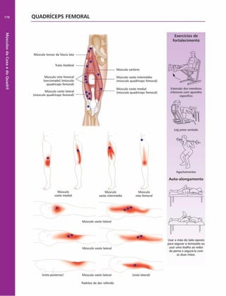 Músculos
da
Coxa
e
do
Quadril
170 QUADRÍCEPS FEMORAL
Exercícios de
fortalecim ento
Músculo tensor da fáscia lata
Trato iliotibial
Músculo reto femoral
(seccionado) (músculo
quadriceps femoral)
Músculo vasto lateral
(músculo quadriceps femoral)
Músculo sartóno
Músculo vasto intermédio
(músculo quadriceps femoral)
Músculo vasto mediai
(músculo quadriceps femoral)
Extensão dos membros
inferiores com aparelho
específico
Músculo
vasto mediai
Músculo
vasto intermédio
Músculo
reto femoral
Leg press sentado
Agachamentos
Auto-alongam ento
Músculo vasto lateral
Músculo vasto lateral
Usar a mão do lado oposto
para segurar o tornozelo ou
usar uma toalha ao redor
da perna e segurá-la com
as duas mãos.
(vista posterior) Músculo vasto lateral
Padrões de dor referida
 