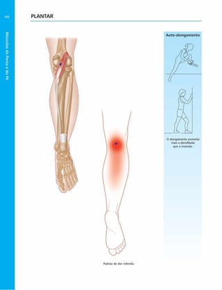 Músculos
da
Perna
e
do
Pé
182 PLANTAR
Padrão de dor referida
 