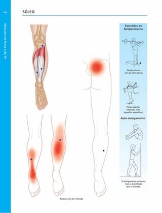 Músculos
da
Perna
e
do
Pé
SOLEO
Exercícios de
fortalecim ento
Flexão plantar
(em pé com barra)
Flexão plantar
(sentado, com
aparelho especifico)
Auto-alongam ento
O alongamento aumenta
mais a dorsiflexao
que a inversão.
Padrões de dor referida
 