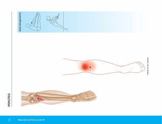 A
uto-alon
gam
en
to
C
00 Músculos da Perna e do Pé
Padráo
d
e
dor
referida
 