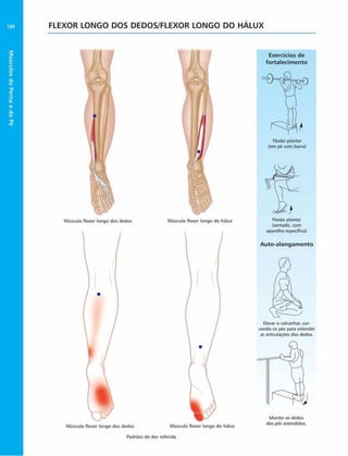 Músculos
da
Perna
e
do
Pé
188 FLEXOR LONGO DOS DEDOS/FLEXOR LONGO DO HÁLUX
Exercícios de
fortalecim ento
Flexão plantar
(em pé com barra)
Elevar o calcanhar, cur­
vando os pés para estender
as articulações dos dedos.
Auto-alongam ento
Padrões de dor referida
Músculo flexor longo dos dedos Músculo flexor longo do hãlux Flexão plantar
(sentado, com
aparelho especifico)
Músculo flexor longo dos dedos Músculo flexor longo do hãlux
Manter os dedos
dos pés estendidos.
 