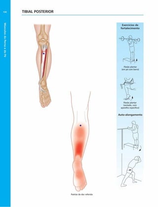 Músculos
da
Perna
e
do
Pé
190 TIBIAL POSTERIOR
Padráo de dor referida
 