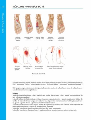Músculos
da
Perna
e
do
Pé
194 MÚSCULOS PROFUNDOS DO PÉ
Músculo
quadrado
plantar
Músculo adutor
do hálux
Músculo flexor
curto do hálux
Músculos
mterósseos
dorsais
Músculos
interósseos
plantares
Músculo
quadrado
plantar
Músculo adutor
do hálux
Músculo flexor
curto do hálux
Músculos mterósseos dorsais
(vistas plantar e dorsal)
Padrões de dor referida
Do latim quadratusplantae,adductorhallucis,flexorhallucisbrevis,interosseidorsaleseinterossei'plantares(ad-
ducf:"aproximar"; 1/alln.r."hálux, dedão";Jlectere. "flexionar, dobrar"; interosseus:"situado entre ossos").
Este grupo compreende os músculos quadrado plantar, adutor do hálux, flexor curto do hálux, interós­
seos dorsais e interósseos plantares.
Origem
Músculo quadrado plantar; cabeça mediai: face mediai do calcãneo; cabeça lateral: margem lateral da
face inferior do calcãneo.
Músculo adutor do hálux; cabeça oblíqua: bases do segundo, terceiro e quarto metatarsais. Bainha do
tendão do músculo fibular longo; cabeça transversa: ligamentos plantares metatarsofalângicos do tercei­
ro, quarto e quinto dedos. Ligamentos metatarsais transversos.
Músculo flexor curto do hálux: região mediai da superfície plantar do osso cubóide. Parte adjacente do
osso cuneiforme lateral. Tendão do músculo tibial posterior.
Músculos interósseos dorsais: regiões adjacentes dos ossos metatarsais.
Músculos interósseos plantares: bases e região mediai do terceiro, quarto e quinto metatarsais.
 