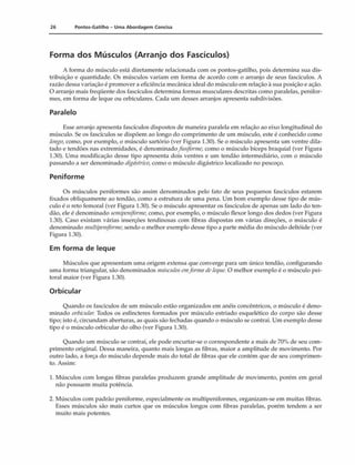 26 Pontos-Gatilho - Uma Abordagem Concisa
Forma dos Músculos (Arranjo dos Fascículos)
A forma do músculo está diretamente relacionada com os pontos-gatilho, pois determina sua dis­
tribuição e quantidade. Os músculos variam em forma de acordo com o arranjo de seus fascículos. A
razão dessa variação é promover a eficiência mecânica ideal do músculo em relação à sua posição e ação.
O arranjo mais freqüente dos fascículos determina formas musculares descritas como paralelas, penifor-
mes, em forma de leque ou orbiculares. Cada um desses arranjos apresenta subdivisões.
Paralelo
Esse arranjo apresenta fascículos dispostos de maneira paralela em relação ao eixo longitudinal do
músculo. Se os fascículos se dispõem ao longo do comprimento de um músculo, este é conhecido como
longo,como, por exemplo, o músculo sartório (ver Figura 1.30). Se o músculo apresenta um ventre dila­
tado e tendões nas extremidades, é denominadofusiforme, como o músculo bíceps braquial (ver Figura
1.30). Uma modificação desse tipo apresenta dois ventres e um tendão intermediário, com o músculo
passando a ser denominado digástrico,como o músculo digástrico localizado no pescoço.
Peniforme
Os músculos peniformes são assim denominados pelo fato de seus pequenos fascículos estarem
fixados obliquamente ao tendão, como a estrutura de uma pena. Um bom exemplo desse tipo de mús­
culo é o reto femoral (ver Figura 1.30). Se o músculo apresentar os fascículos de apenas um lado do ten­
dão, ele é denominado semipeniforme,como, por exemplo, o músculo flexor longo dos dedos (ver Figura
1.30). Caso existam várias inserções tendinosas com fibras dispostas em várias direções, o músculo é
denominado multipeniforme,sendo o melhor exemplo desse tipo a parte média do músculo deltóide (ver
Figura 1.30).
Em forma de leque
Músculos que apresentam uma origem extensa que converge para um único tendão, configurando
uma forma triangular, são denominados músculosemformadeleque. O melhor exemplo é o músculo pei­
toral maior (ver Figura 1.30).
Orbicular
Quando os fascículos de um músculo estão organizados em anéis concêntricos, o músculo é deno­
minado orbicular. Todos os esfíncteres formados por músculo estriado esquelético do corpo são desse
tipo; isto é, circundam aberturas, as quais são fechadas quando o músculo se contrai. Um exemplo desse
tipo é o músculo orbicular do olho (ver Figura 1.30).
Quando um músculo se contrai, ele pode encurtar-se o correspondente a mais de 70% de seu com­
primento original. Dessa maneira, quanto mais longas as fibras, maior a amplitude de movimento. Por
outro lado, a força do músculo depende mais do total de fibras que ele contém que de seu comprimen­
to. Assim:
1. Músculos com longas fibras paralelas produzem grande amplitude de movimento, porém em geral
não possuem muita potência.
2. Músculos com padrão peniforme, especialmente os multipeniformes, organizam-se em muitas fibras.
Esses músculos são mais curtos que os músculos longos com fibras paralelas, porém tendem a ser
muito mais potentes.
 