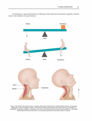 0 Corpo em M ovim ento 31
As ilustrações a seguir demonstram as diferenças entre alavancas de primeira, segunda e terceira
classe, com exemplos no corpo humano.
Esforço Resistência
Esforço Fulcro Resistência
Fulcro
Esforço
Resistência
Figura 1.35: Alavanca de primeira classe: a posição relativa dos componentes é resisténcia-fulcro-esforço. Um exemplo
adequado é o de uma gangorra (acima). Uma tesoura constitui outro exemplo. No corpo humano, um exemplo é a
capacidade de estender a cabeça e o pescoço; nesse caso, as estruturas faciais funcionam como resistência, a articulação
atlantoccipital funciona como fulcro, e os músculos posteriores do pescoço realizam o esforço.
 