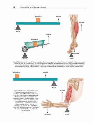 32 Pontos-Gatilho - Uma Abordagem Concisa
Fulcro Fu,cro
Figura 1.36: Alavanca de segunda classe: a posição relativa dos componentes é fulcro-resistência-esforço. 0 melhor exemplo é o
carrinho de mão. No corpo humano, um bom exemplo é a capacidade de levantar o calcanhar do solo na posição ereta; nesse
caso, a extremidade distai do pé funciona como fulcro, o peso do corpo é a resistência, e os músculos posteriores da perna
realizam o esforço. Nesse tipo de alavanca, a velocidade e a amplitude de movimento são sacrificadas em nome da força.
Resistência
Resistência Esforço
Figura 1.37: Alavanca de terceira classe: a
posição relativa dos componentes ê
resistência-esforço-fulcro. Um par de pinças
é um bom exemplo desse tipo de alavanca.
No corpo humano, a maior parte dos
músculos esqueléticos trabalha desse modo.
Um exemplo é a flexão do antebraço, em
que um objeto segurado pelas mãos
funciona como a resistência, o músculo
biceps braquial realiza o esforço, e a
articulação do cotovelo atua como fulcro.
Nesse tipo de alavanca, a força é sacrificada
em nome da velocidade e da amplitude
de movimento.
Fulcro
Esforço
Resistência Fulcro
 