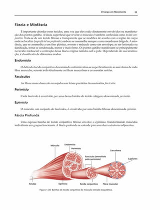 0 Corpo em M ovim ento 33
Fáscia e Miofáscia
É importante abordar esses tecidos, uma vez que eles estão diretamente envolvidos na manifesta­
ção dos pontos-gatilho. A fáscia superficial que reveste o músculo é também conhecida como tecidocon­
juntivo. Trata-se de um tecido fibroso e transparente que se modifica de acordo com a região do corpo
onde se localiza (superficialowprofundo),embora se assemelhe sempre a uma membrana delgada. A mio­
fáscia, que se assemelha a um fino plástico, reveste o músculo como um envelope; ao ser lesionada ou
danificada, torna-se condensada, menor e mais firme. Os pontos-gatilho manifestam-se principalmente
no tecido miofascial; a contração dessa fáscia origina nódulos sob a pele. Dependendo de sua localiza­
ção, é classificada de diferentes modos.
Endomísio
O delicado tecido conjuntivo denominado endomísiositua-se superficialmente ao sarcolema de cada
fibra muscular; reveste individualmente as fibras musculares e as mantém unidas.
Fascículos
As fibras musculares são arranjadas em feixes paralelos denominadosfascículos.
Perimísio
Cada fascículo é envolvido por uma densa bainha de tecido colágeno denominada perimísio.
Epimísio
O músculo, um conjunto de fascículos, é envolvido por uma bainha fibrosa denominada epimísio.
Fáscia Profunda
Uma espessa bainha de tecido conjuntivo fibroso envolve o epimísio, transformando músculos
individuais em grupos funcionais. A fáscia profunda se estende para envolver estruturas adjacentes.
Músculo
Endom ísio
Perimísio
Sarcolema
Tendão Epimísio Tecido conjuntivo Fibra muscular
Figura 1.38: 8ainhas de tecido conjuntivo do músculo estriado esquelético.
 