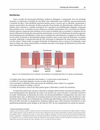 Fisiologia dos Pontos-Gatilho 43
Miofibrilas
Com o auxílio dc microscopia eletrônica, podem-se distinguir o componente ativo da atividade
muscular e os elementos contráteis de uma fibra, estes conhecidos como miofibrilas, que percorrem toda
a extensão da fibra. Cada mioíibrila apresenta bandas claras e escuras que se alternam, produzindo o
aspecto característico de estriaçôes da fibra muscular. Essas bandas são denominadas miofilamentos. As
bandas claras referem-se a bandas isotrópicas (I) e consistem em miofilamentos delgados compostos
pela proteína actina. As bandas escuras referem-se a bandas anisotrópicas (A) e consistem em miofila­
mentos espessos compostos pela proteína miosina (note-se também que se reconhece a existência de um
terceiro filamento formado por uma proteína denominada conectina).Os filamentos de miosina apresen­
tam prolongamentos semelhantes a remos que se projetam de cada filamento e acoplam-se aos filamen­
tos de actina, formando as denominadas pontes cruzadas entre os dois tipos de filamentos. As pontes
cruzadas, utilizando a energia derivada do A TI’
, tracionam os filamentos de actina para mais próximo
uns dos outros.* Desse modo, os grupos de bandas de filamentos claras e escuras se entrelaçam, assim
como os dedos das mãos, promovendo a contração muscular. Cada grupo de filamentos de actina-mio-
sina é denominado sarcõmcro.
_ >. . barcomero _ •.
BandaI Banda I
Figura 3.2: Os miofilamentos de um sarcòmero. Um sarcômero é circundado pela linha Z em ambas as extremidades.
• A região mais clara é conhecida como banda 1, e a mais escura como banda A.
• A linha Z é uma linha delgada e escura no meio da banda I.
• Um sarcômero é definido como uma secção de miofibrila entre a linha Z e o seguinte.
• O centro da banda A contém a zona H.
• A linha M secciona a zona 11 em duas partes iguais e determina o centro do sarcômero.
Sc uma força externa faz com que o músculo se alongue além do tônus muscular de repouso, o efei­
to de entrelaçamento dos filamentos de actina e de miosina que ocorre durante a contração muscular é
revertido. Inicialmente, os filamentos de actina e de miosina possibilitam o alongamento, mas com a con­
tinuidade dessa ação, os filamentos de conectina promovem uma ação contrária a fim de absorver o des­
locamento. Desse modo, são os filamentos de conectina que determinam o grau de extensibilidade e resis­
tência da fibra muscular ao alongamento. Pesquisas indicam que a fibra muscular (sarcômero), se ade­
quadamente preparada, pode alongar-se até mais de 150% de seu comprimento em estado de repouso.
• Teoria do deslizamento de Huxley
A hipótese mais aceita para explicar a função muscularfoi parcialmente descrita peta teoria do deslizamento dc ftuxUy llluxlcy e IJanxon,
1954). Afihra muscular rvcehc um impulso nervoso que causa a liberação de ions de cálcio armazenados ntt músculo. Na presença de adeno•
sina trifosfato (ATPJ. o combustível muscular, os ions de cálcio se ligam aos ftlamentai de actina e de miosina /Kira formar uma ligação ete-
tmstàtica (mitgnètica). Essa ligação determina um encurtamento dasfibras, resultando em sua contração ou aumento do tônus. Com o térmi­
no do impulso ncrxoso. as fibras musculares entram em relaxamento. Seus elementos elásticos retraem osfilamentos de modo que alcancem o
comprimento que possuem quando não estão contraídas, isto è. seu estado de tônus de n'pouso
 