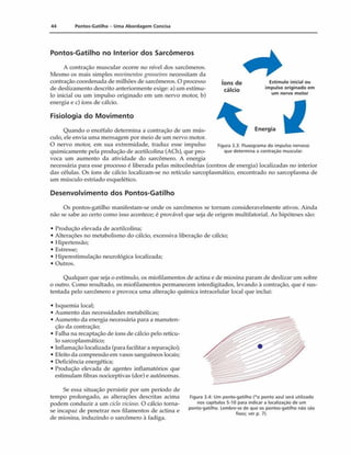 44 Pontos-Gatilho - Uma Abordagem Concisa
Pontos-Gatilho no Interior dos Sarcômeros
A contração muscular ocorre no nível dos sarcômeros.
Mesmo os mais simples movimentos grosseiros necessitam da
contração coordenada de milhões de sarcômeros. O processo
de deslizamento descrito anteriormente exige: a) um estímu­
lo inicial ou um impulso originado em um nervo motor, b)
energia e c) íons de cálcio.
Fisiologia do Movimento
íons de
cálcio
Estimulo inicial ou
impulso originado em
um nervo motor
Energia
Figura 3.3: Fluxograma do impulso nervoso
que determina a contraçáo muscular.
Quando o encéíalo determina a contração de um mús­
culo, ele envia uma mensagem por meio de um nervo motor.
O nervo motor, em sua extremidade, traduz esse impulso
quimicamente pela produção de acetilcolina (ACh), que pro­
voca um aumento da atividade do sarcômero. A energia
necessária para esse processo é liberada pelas mitocôndrias (centros de energia) localizadas no interior
das células. Os íons de cálcio localizam-se no retículo sarcoplasmático, encontrado no sarcoplasma de
um músculo estriado esquelético.
Desenvolvimento dos Pontos-Gatilho
Os pontos-gatilho manifestam-se onde os sarcômeros se tornam consideravelmente ativos. Ainda
não se sabe ao certo como isso acontece; é provável que seja de origem multifatorial. As hipóteses são:
• Produção elevada de acetilcolina;
• Alterações no metabolismo do cálcio, excessiva liberação de cálcio;
• Hipertensão;
• Estresse;
• Hiperestimulação neurológica localizada;
• Outros.
Qualquer que seja o estímulo, os miofilamentos de actina e de miosina param de deslizar um sobre
o outro. Como resultado, os miofilamentos permanecem interdigitados, levando ã contração, que é sus­
tentada pelo sarcômero e provoca uma alteração química intracelular local que inclui:
• Isquemia local;
• Aumento das necessidades metabólicas;
• Aumento da energia necessária para a manuten­
ção da contração;
• Falha na recaptação de íons de cálcio pelo retícu­
lo sarcoplasmático;
• Inflamação localizada (para facilitara reparação);
• Efeito da compressão em vasos sanguíneos locais;
• Deficiência energética;
• Produção elevada de agentes inflamatórios que
estimulam fibras nociceptivas (dor) e autônomas.
Se essa situação persistir por um período de
tempo prolongado, as alterações descritas acima
podem conduzir a um ciclo vicioso. O cálcio torna-
se incapaz de penetrar nos filamentos de actina e
de miosina, induzindo o sarcômero à fadiga.
Figura 3.4: Um ponto-gatilho (*o ponto azul será utilizado
nos capitulos 5-10 para indicar a localização de um
ponto-gatilho. Lembre-se de que os pontos-gatilho não são
fixos; ver p. 7).
 