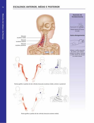 Músculos
da
Cabeça
e
do
Pescoço
76 ESCALENOS ANTERIOR, M ÉDIO E POSTERIOR
Músculo
escaleno médio
Músculo
escaleno anterior
Músculo
escaleno posterior
Exercício de
fortalecim ento
Flexão lateral do tronco
no solo
Auto-alongam ento
Afastar a orelha esquerda
do ombro, sem realizar
rotação da cabeça, levando
a orelha direita em direção
ao ombro direito.
Pontos-gatilho e padrões de dor referida (músculos escalenos médio, anterior e posterior)
Ponto-gatilho e padrão de dor referida (músculo escaleno médio)
 