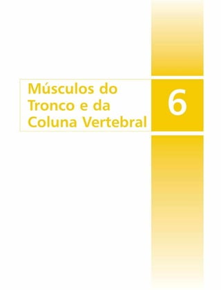 Músculos do
Tronco e da
Coluna Vertebral
 