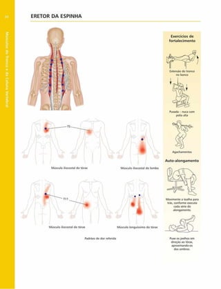 Músculos
do
Tronco
e
da
Coluna
Vertebral
82 ERETOR DA ESPINHA
Exercícios de
fortalecim ento
Puxada - nuca com
polia alta
Músculo iliocostal do tórax
Músculo iliocostal do tórax Músculo longuíssimo do tórax
Movimente a toalha para
trás. conforme executa
cada série do
alongamento.
Músculo iliocostal do lombo
Agachamentos
Auto-alongam ento
Padrões de dor referida Puxe os joelhos em
direção ao tórax,
aproximando-os
dos ombros.
Extensão do tronco
no banco
 