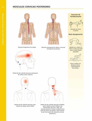 Músculos
do
Tronco
e
da
Coluna
Vertebral
84 MÚSCULOS CERVICAIS POSTERIORES
Músculo longuissimo da cabeça
Exercício de
fortalecim ento
1
L| /p . ,
r
> r
Extensão do tronco
no banco
Auto-alongam ento
)
Músculo semiespinal da cabeça e músculo
semiespinal do pescoço
Ajoelhar-se e colocar as
mãos no chão, de modo
que as costas fiquem
arqueadas.
Puxe os joelhos em
direção ao tórax,
aproximando-os
dos ombros.
Padrão de dor referida (músculo semiespinal
da cabeça, parte superior)
Padrão de dor referida (músculo semi­
espinal da cabeça, parte média)
Padrão de dor referida (músculo multifido,
parte mediai cervical). Embora não
mencionado aqui (ver p. 86), esse
músculo percorre a coluna vertebral como
parte do eretor da espinha, sendo relevan­
te por fazer parte dos músculos cervicais
posteriores.
 