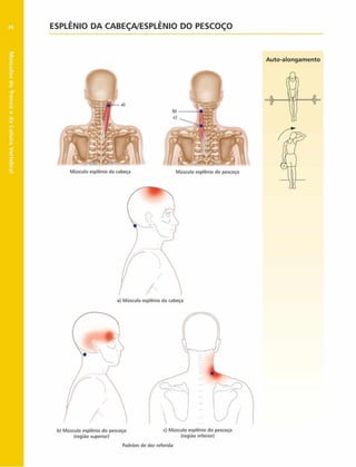 Músculos
do
Tronco
e
da
Coluna
Vertebral
88 ESPLÊNIO DA CABEÇA/ESPLÊNIO DO PESCOÇO
Auto-alongam ento
Músculo esplènio da cabeça Músculo esplènio do pescoço
a) Músculo esplènio da cabeça
b) Músculo esplènio do pescoço c) Músculo esplènio do pescoço
(regiáo superior) (regiáo inferior)
Padrões de dor referida
 