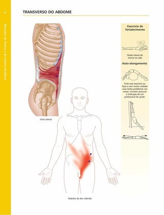 Músculos
do
Tronco
e
da
Coluna
Vertebral
92 TRANSVERSO DO ABD O M E
Exercício de
fortalecim ento
Flexão lateral do
tronco no solo
Auto-alongam ento
Evite este exercício ou
faça-o com muito cuidado
caso tenha problemas nas
costas. Convém procurar
a indicação de um
profissional de saúde.
Padròes de dor referida
 