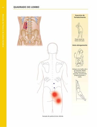Músculos
do
Tronco
e
da
Coluna
Vertebral
96 QUADRADO DO LOMBO
Exercício de
fortalecim ento
Flexão lateral do
tronco com peso
Auto-alongam ento
Coloque uma toalha sob o
pé esquerdo. Realize
flexão lateral para a
esquerda, pressionando
progressivamente a
toalha.
Exemplo de padrão de dor referida
 