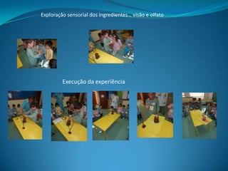 Exploração sensorial dos ingredientes… visão e olfato

Execução da experiência

 